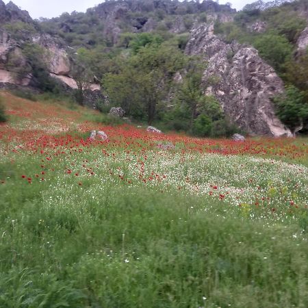 Сhachkari Bed & Breakfast Vardzia  Luaran gambar