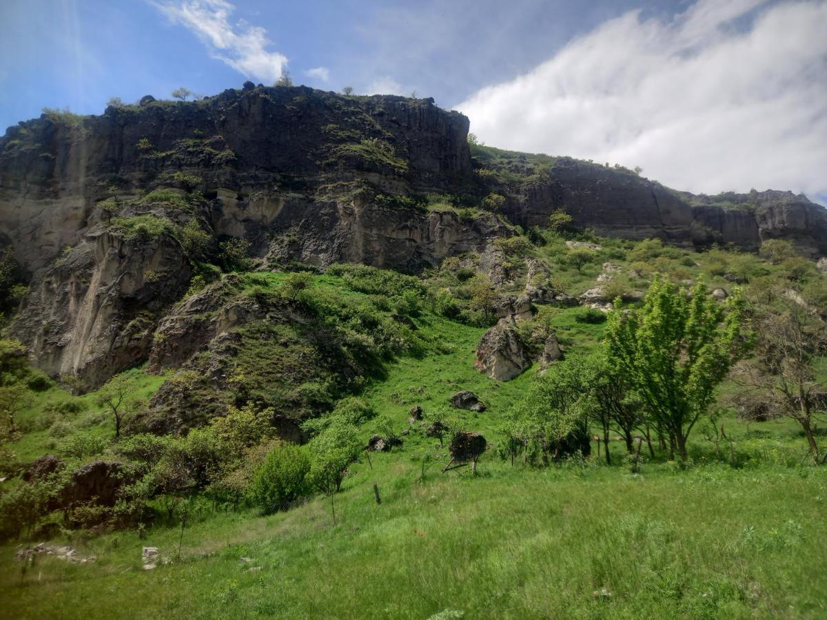 Сhachkari Bed & Breakfast Vardzia  Luaran gambar