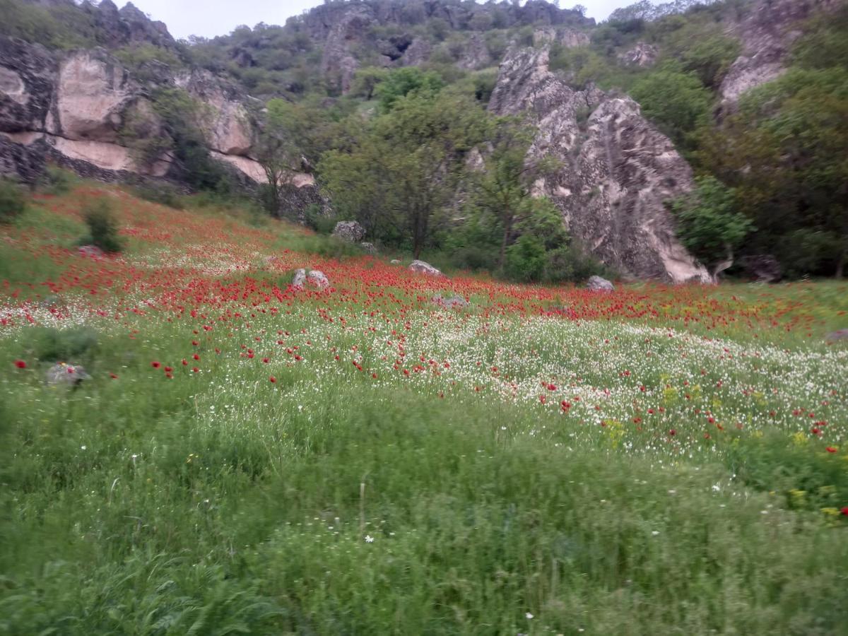 Сhachkari Bed & Breakfast Vardzia  Luaran gambar